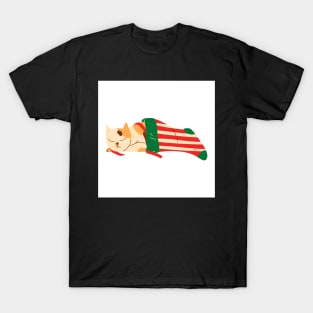 Cat Sleeping in Christmas Stocking T-Shirt